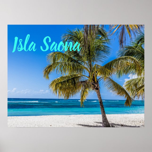 Poster Presente de Isla Saona Beach Domenican Republic (Frente)