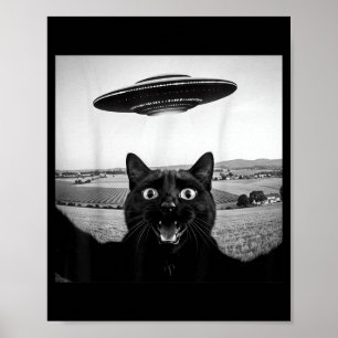 Poster Presente Divertido de Gato Preto Selfie Ufo Alien 