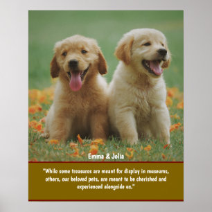 Poster Presente exclusivo para sobrevoo do cão, Impressõe