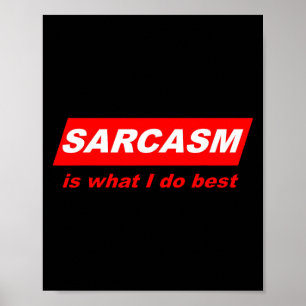 Poster Presente Nerdy Engraçado Sarcástico Sarcasmo É O Q