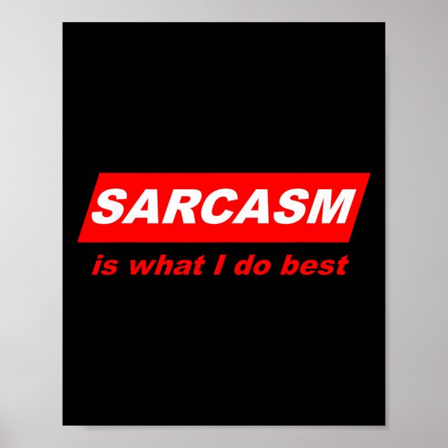 Poster Presente Nerdy Engraçado Sarcástico Sarcasmo É O Q (Frente)