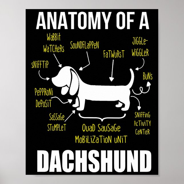 Poster Presente no cão | Anatomia De Dachshund (Frente)