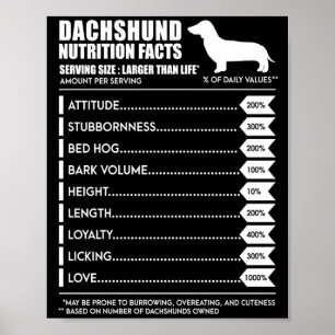 Poster Presente no cão   Fatos Nutritivos De Dachshund