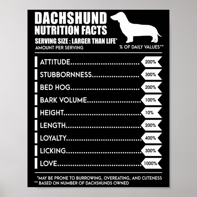 Poster Presente no cão | Fatos Nutritivos De Dachshund (Frente)