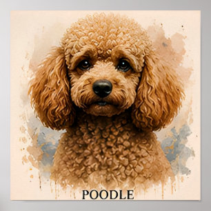 Poster Presente para Amante de Cães Poodle
