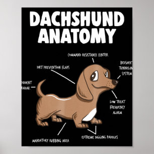 Poster Presente para cães  Anatomia Dachshund Funny Wein