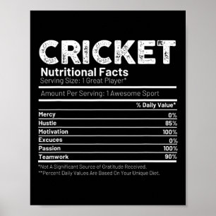 Poster Presente para jogador de críquete para homens
