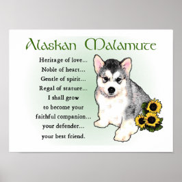 Poster Presentes Alaskan Malamute
