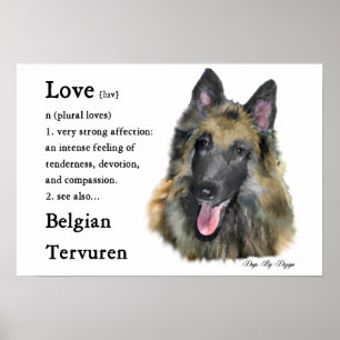 Póster Presentes Belgas em Tervuren