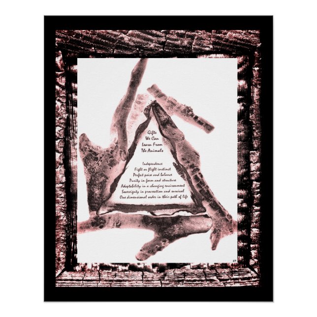 Póster Presentes De Animais (Frente)