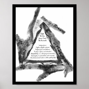 Poster Presentes De Animais