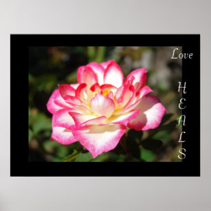 Póster Presentes de arte impresso Love HEALS Rosa Flor Fl