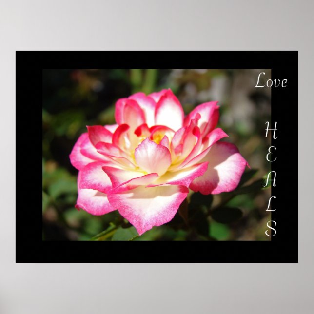 Póster Presentes de arte impresso Love HEALS Rosa Flor Fl (Frente)