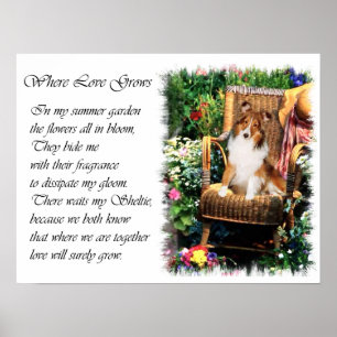 Póster Presentes de Arte Sheltie Shetland Sheepdog