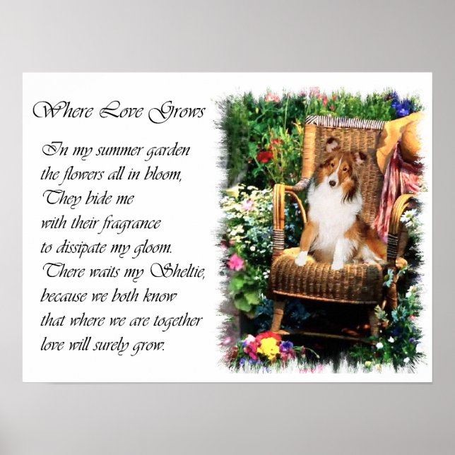 Póster Presentes de Arte Sheltie Shetland Sheepdog (Frente)