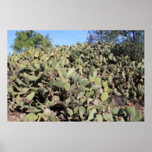 Poster Presentes de Pear