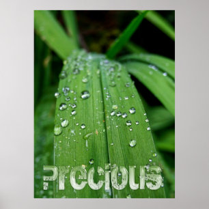 Poster Presentes de precioso da Natureza