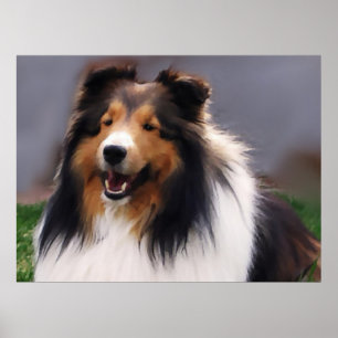 Póster Presentes de Sheltie Art de Sheepdog Shetland