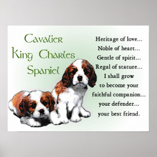 Poster Presentes descuidados do Spaniel de rei Charles