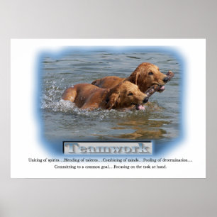 Poster Presentes do golden retriever