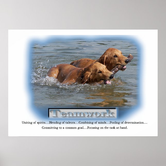 Poster Presentes do ouro Retriever (Frente)