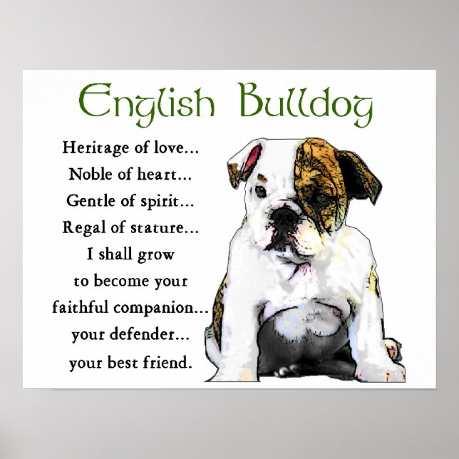 Poster Presentes para Bulldog Inglês (Frente)