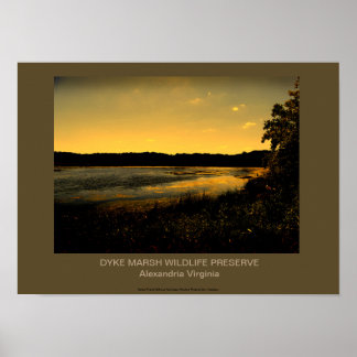 PÓSTER PRESERVAÇÃO DE DYKE MARSH WILDLIFE
