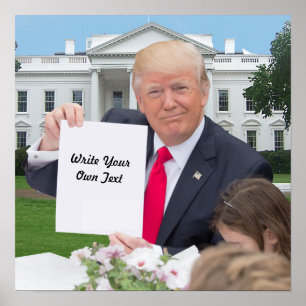 Póster Presidente Donald Trump - escreva seu próprio