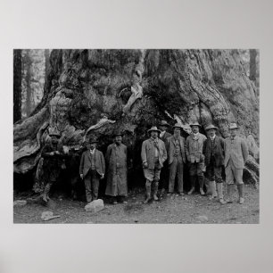 Poster Presidente Roosevelt e John Muir California 1903