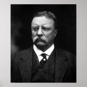 Poster Presidente Teddy Roosevelt