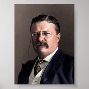 Poster Presidente Theodore Roosevelt