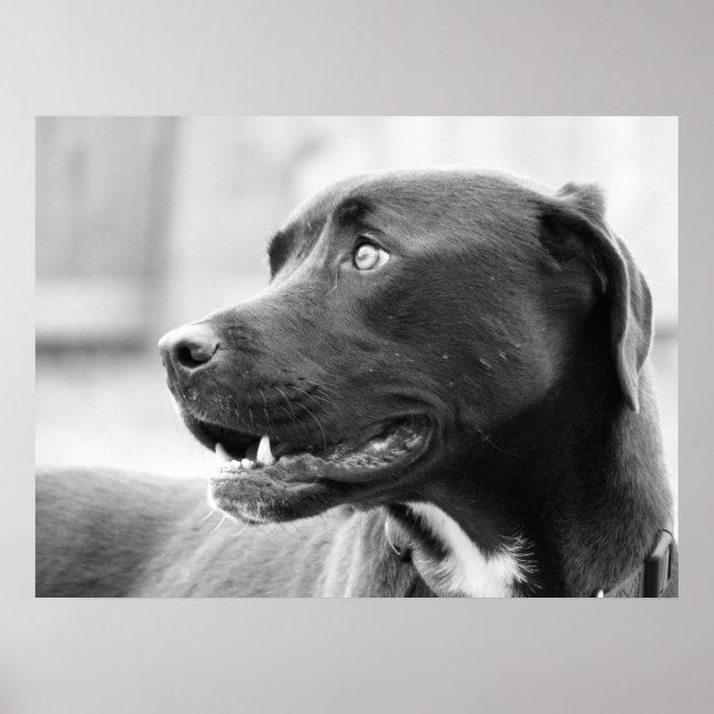 Poster Prestando atenção (Frente)