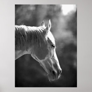 Poster preto & branco do impressão do cavalo do
