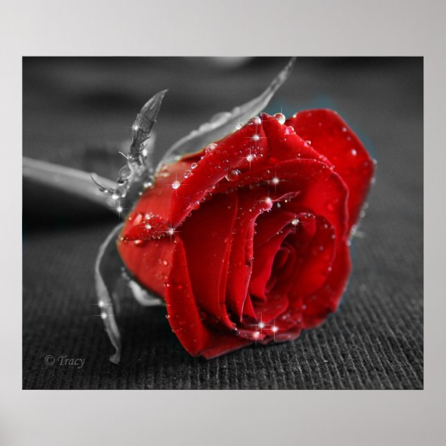 Poster Preto/Branco/Vermelho (Frente)