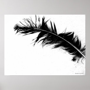 Poster preto da pena