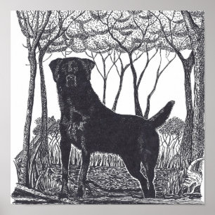 poster preto do laboratório