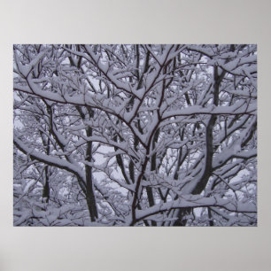 Póster Preto e branco