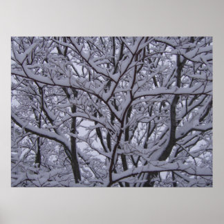 Póster Preto e Branco