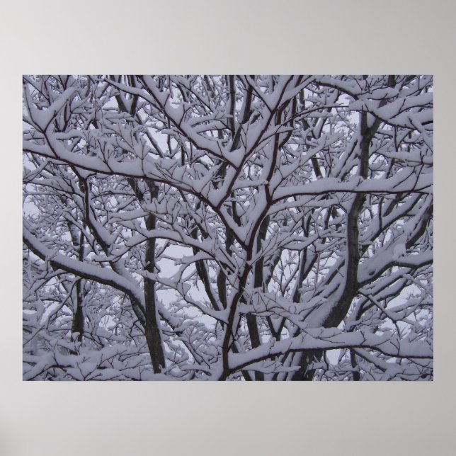 Póster Preto e Branco (Frente)