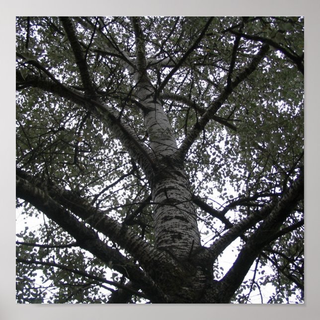 Póster Preto e branco (Frente)