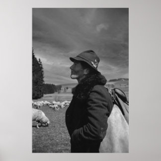 Poster Preto e Branco 1968 - Pastor Alemão de Ovinos