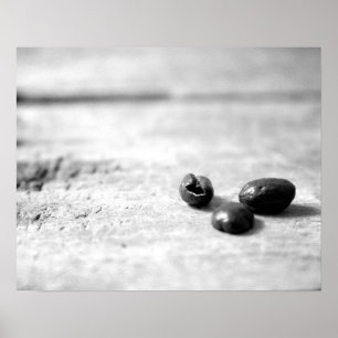 Poster Preto e branco 3 feijões de café inteiros escuros