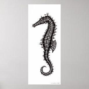Poster preto e branco da arte do desenho do cavalo