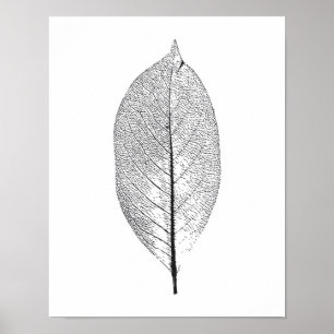 Poster preto e branco da folha