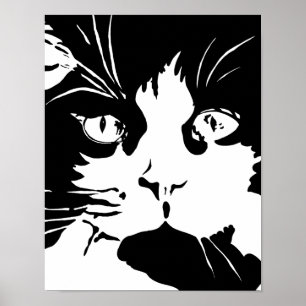 Poster preto e branco do gato