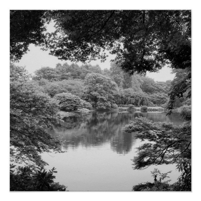 Póster Preto e branco, legal, natureza única e lago (Frente)