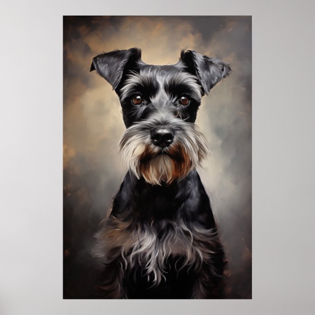 Poster Preto e prata - Miniatura Schnauzer (Frente)