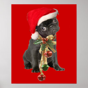 Póster Preto Pug Puppy Retrato de Natal