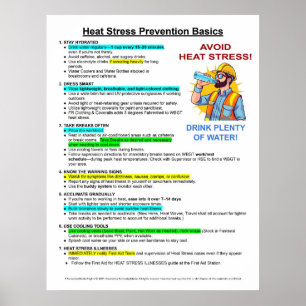 Poster Prevenção Básica de Doenças Causadas por Estresse 