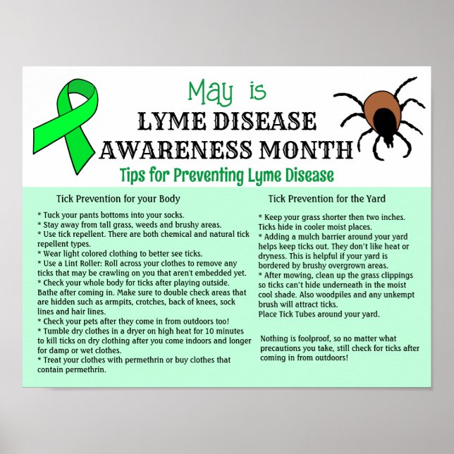 Poster Prevenção da Doença de Lyme Educacional (Frente)